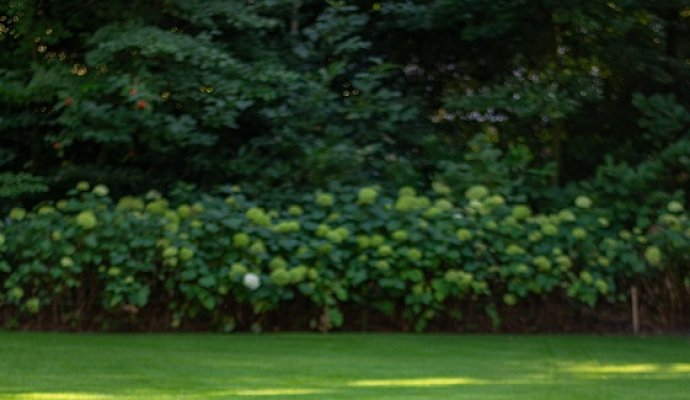 機器人無線充電使用的情況如何？