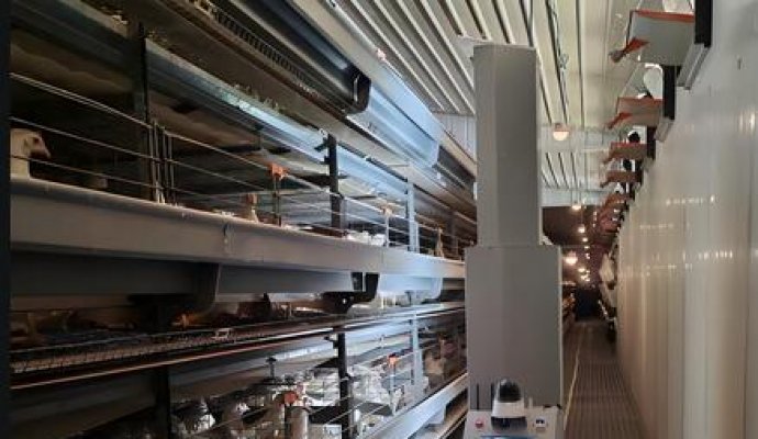 革新蛋雞巡檢：無線充電技術開啟智能養殖新時代